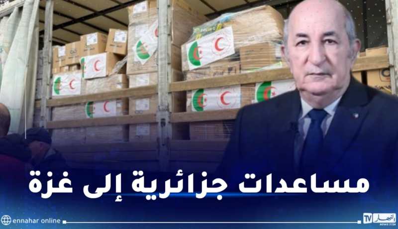 جسر جوي من الجزائر إلى مطار العريش بمصر لإرسال مساعدات لغزة