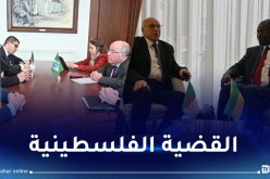 الأوضاع في فلسطين.. محور لقاء عطاف مع نظيرَيه الغابوني والبرازيلي