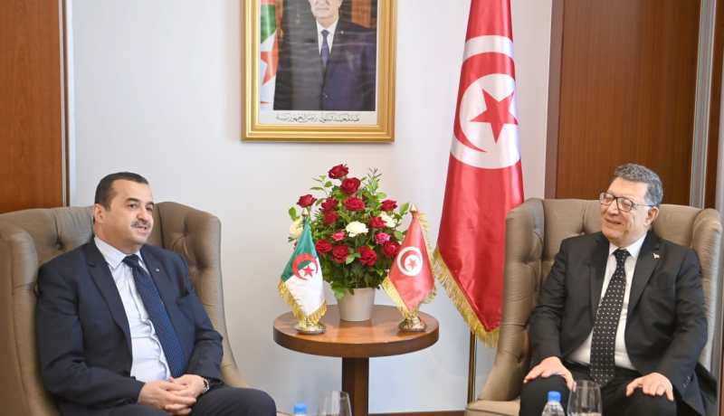 الجزائر وتونس يناقشان تطوير التعاون في الطاقة والمناجم