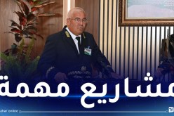 والي الجلفة: زيارة الرئيس أثمرت بقرارات ضخمة