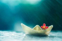 من أجمل ما قرأت