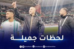 بالفيديو.. الفاف تودّع بوقرة وتذكّر الجميع بأهم إنجازاته