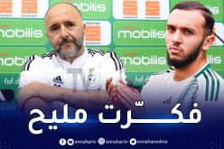 بالفيديو.. غويري يردّ على تصريحات بلماضي قبل تربص الخضر