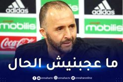 بلماضي :”أشعر بخيبة أمل وحارس مصر كسر إيقاع المباراة”