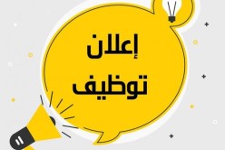 سفارة ألمانيا توظف