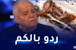 الدكتور بن أشنهو لـ”النهار أونلاين”: البق بإمكانه التكاثر في الشعر وتحذير خاص لربات البيوت