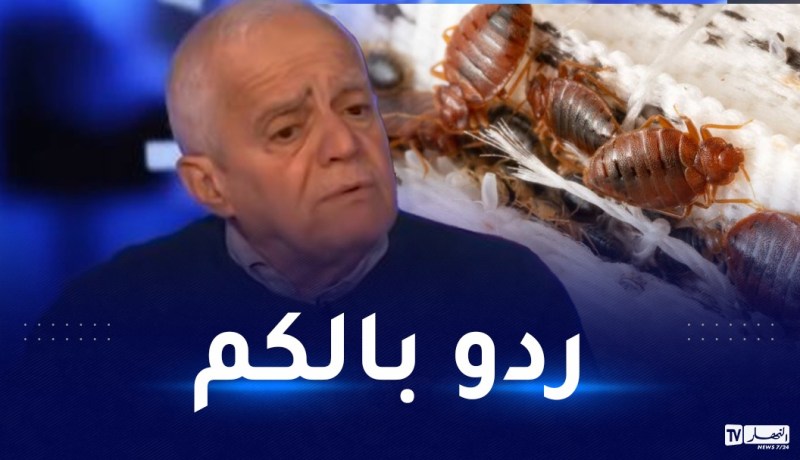 الدكتور بن أشنهو لـ”النهار أونلاين”: البق بإمكانه التكاثر في الشعر وتحذير خاص لربات البيوت