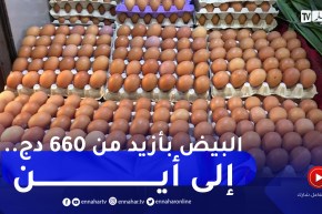 تجارة: صفيحة البيض بأزيد من 660دج والمواطن لا يقتنيه إلا للضرورة