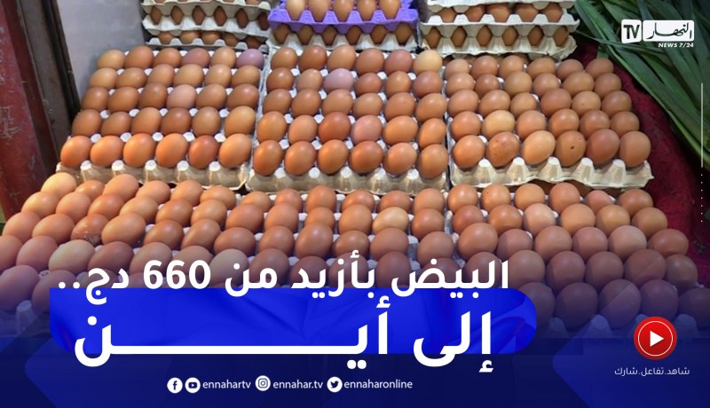 تجارة: صفيحة البيض بأزيد من 660دج والمواطن لا يقتنيه إلا للضرورة