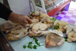إنخفاض أسعار الدجاج.. وزارة الفلاحة تكشف الجديد