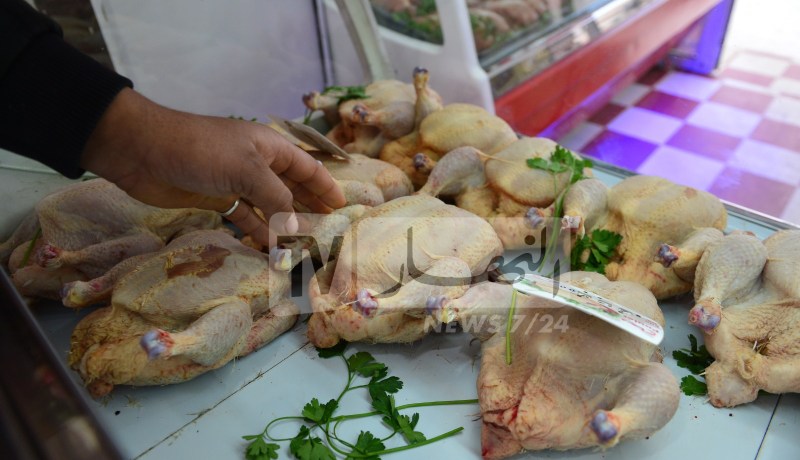 إنخفاض أسعار الدجاج.. وزارة الفلاحة تكشف الجديد