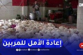 تقليص الـTVA على انتاج الدواجن..قرار يعيد النشاط بأكثر حيوية للشعبة