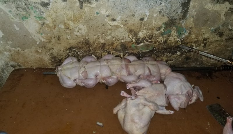 صور صادمة.. تحضير الدجاج المحمر في ظروف كارثية بأحد محلات الحراش
