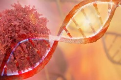 تعافى من السرطان تماما.. طفل بلجيكي يثير حيرة الأطباء