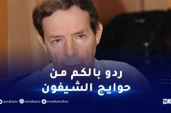 البروفسور خياطي: هكذا سيتم التعامل مع الوافدين من فرنسا في حال انتشار “البق”