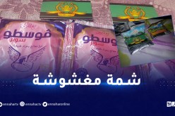 العاصمة.. تشميع محل يبيع “شمة مغشوشة” وإيداع صاحبه حبس الحراش