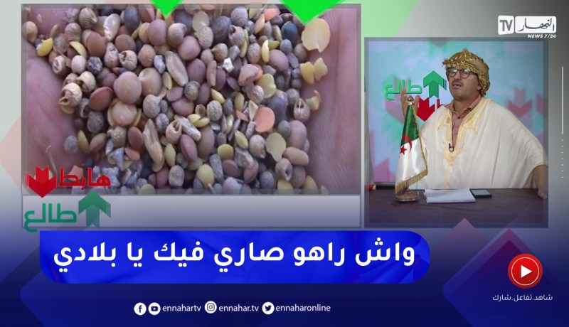 طالع هابط: النوي يكشف فضيحة العدس بتعاونية الحبوب بتيارت