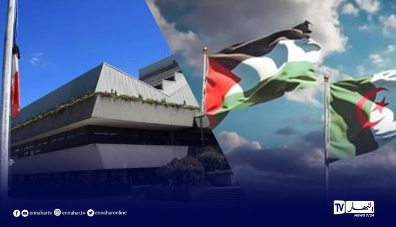مجهولون ينزلون العلم الفرنسي ويرفعون الجزائري والفلسطيني