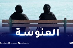 هذه نسبة العنوسة في الجزائر !