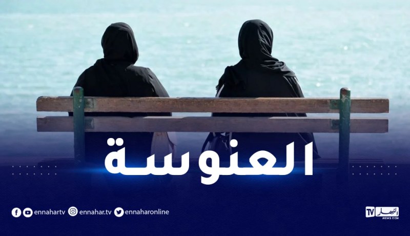 هذه نسبة العنوسة في الجزائر !