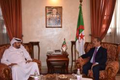 “بلدنا” لإنتاج الحليب واللحوم الحمراء.. وزير الفلاحة يتباحث مع مديرها العام