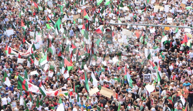 بالأرقام.. هذه أعداد المتظاهرين الرافضين للعدوان على غزة بمختلف الولايات
