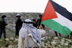 بالدعاء والتعاطف.. النجوم العرب يدعمون فلسطين