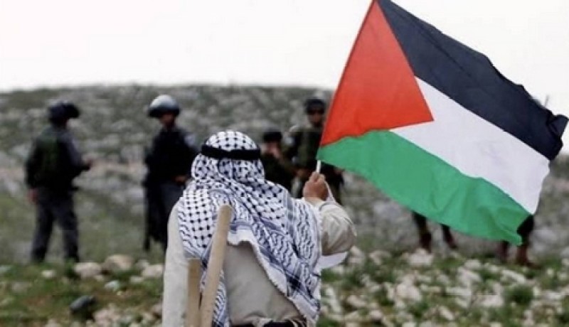 بالدعاء والتعاطف.. النجوم العرب يدعمون فلسطين