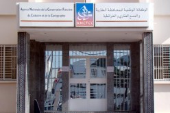بلاغ هام بخصوص الحركة الجزئية التي مست سلك المحافظين العقاريين