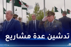 الرئيس تبون يشرع في زيارة الجلفة