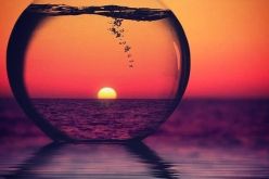 ضع في حياتك نقطة وعد إلى السطر