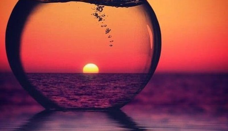 ضع في حياتك نقطة وعد إلى السطر