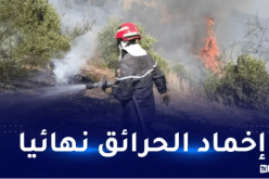 إخماد 54 حريق غابات عبر 9 ولايات