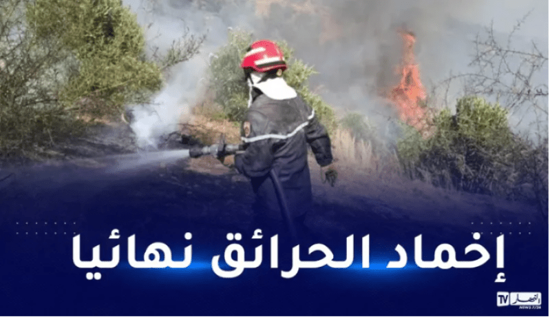 إخماد 54 حريق غابات عبر 9 ولايات
