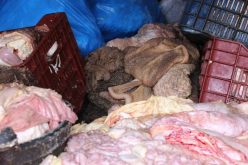 تيارت .. ضبط أكثر من 3 قناطير من أحشاء البقر الفاسدة بقصابات المدينة