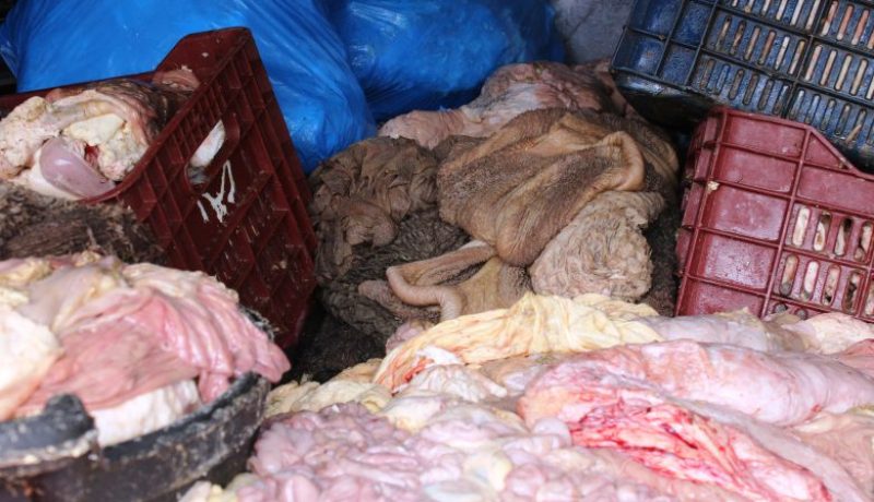 تيارت .. ضبط أكثر من 3 قناطير من أحشاء البقر الفاسدة بقصابات المدينة