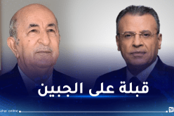 صحفي الجزيرة..”تحية إلى الزعيم الجزائري عبد المجيد تبون”