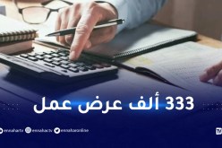 التوظيف في الجزائر.. هذان المعياران أساسيان !
