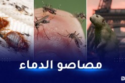 فرنسا تنهار تحت غزو الجرذان والبق وبعوض النمر