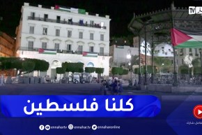 أعلام فلسطين تزين شرفات العمارات والشوارع تحضيرا للمسيرة نصرة لغزة