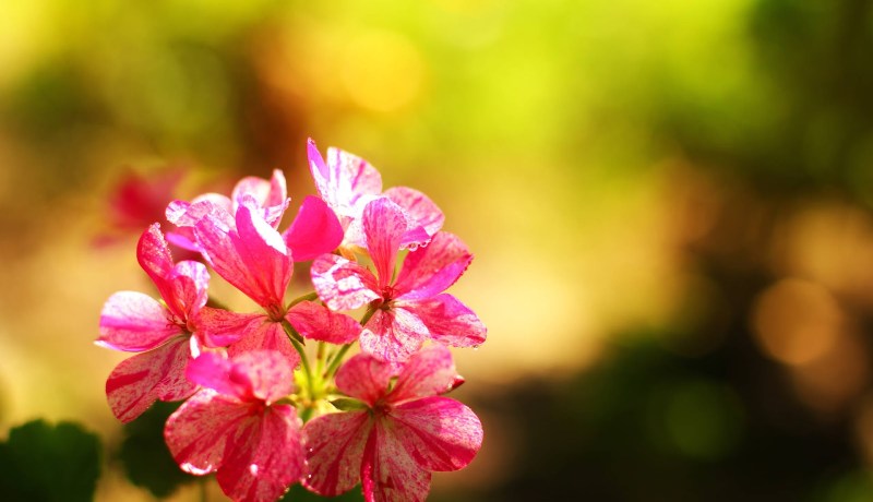 لا تنسوا الدعاء فهو عبادة يحبها الله