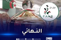 الاتحاد الجزائري لكرة اليد يحدد موعد نهائي كأس الجزائر