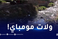 أحياء العاصمة تغرق في “الزيقو”!