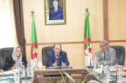 تحويل الأولياء لأبنائهم.. هذا ما قاله وزير التربية