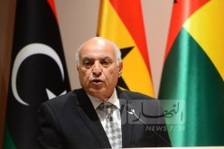وزير الخارجية: الأوضاع في فلسطين بحاجة إلى هبة مستعجلة