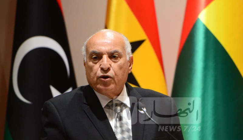 وزير الخارجية: الأوضاع في فلسطين بحاجة إلى هبة مستعجلة