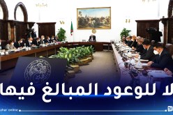 الرئيس تبون يأمر بوجوب اعتماد الحكومة السرعة القصوى في تطبيق قرارات مجلس الوزراء