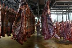 وزير الفلاحة يكشف عن أسعار اللحوم الحمراء المستوردة 