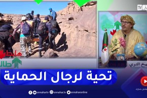 طالع هابط: الحماية المدنية لولاية جانت تنقذ سائح سقط من جبل في عملية صعبة