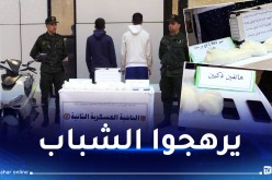 تلمسان: توقيف شخصين وحجز قرابة 3 كلغ من الكوكايين